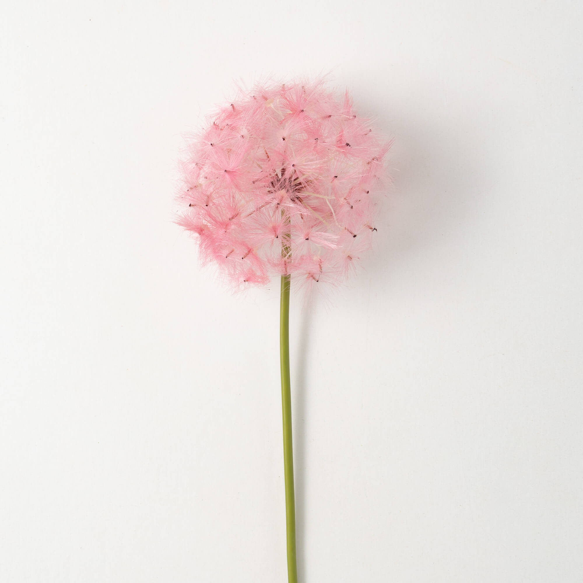 Billowy Pink Pom Pom Stem