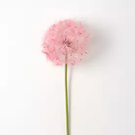 Billowy Pink Pom Pom Stem