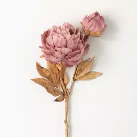 Blush Pink Blooming Peonies