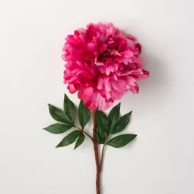 Bright Bold Pink Peony