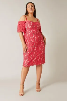 Evans Pink Floral Lace Cold Shoulder Midi Dress