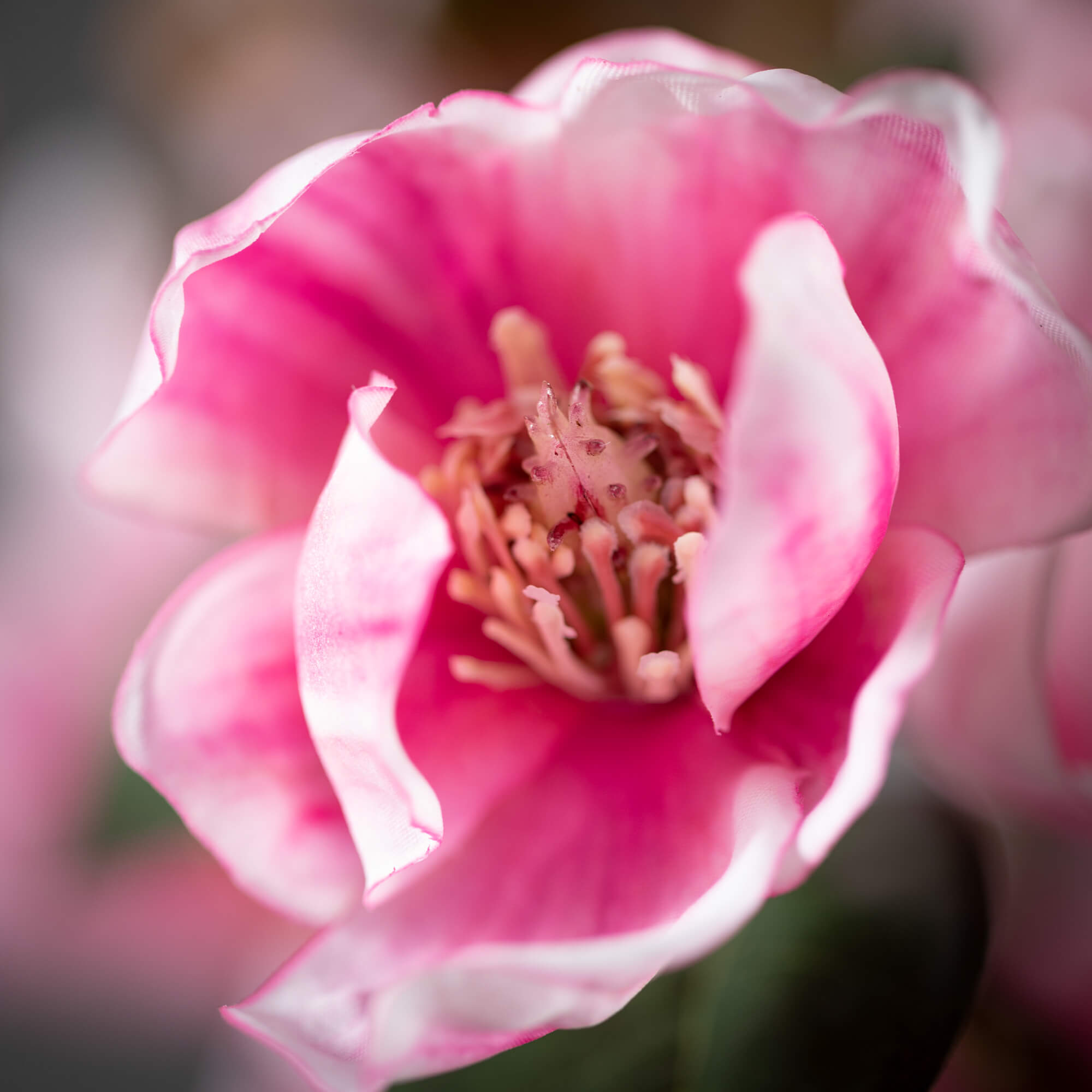 Faux Pink Magnolia Stem