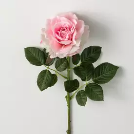 Freshcut Pink Blooming Rose S