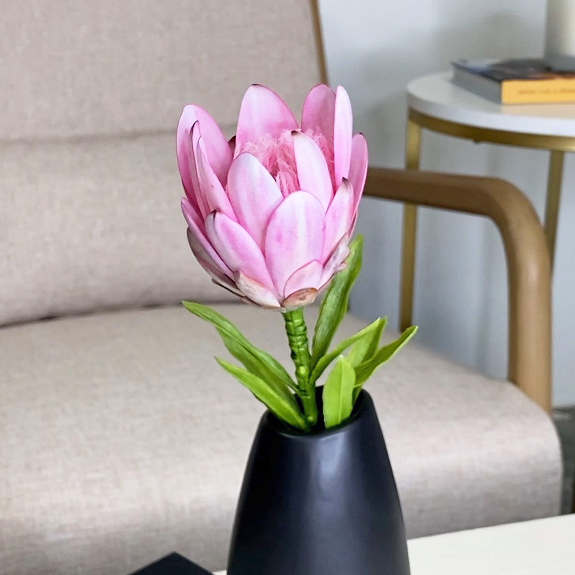 Fuchsia Pink Queen Protea