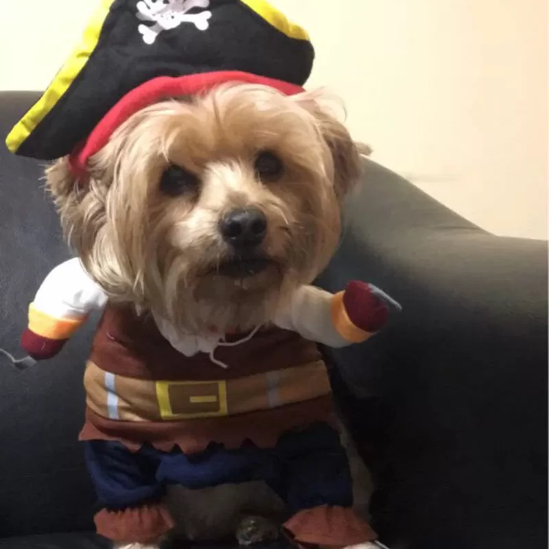 Funny Halloween Pet Dog Costumes Pirate Suit Cosplay Clothes For Small Medium Dogs Cats Chihuahua Puppy Clothing Pet Products