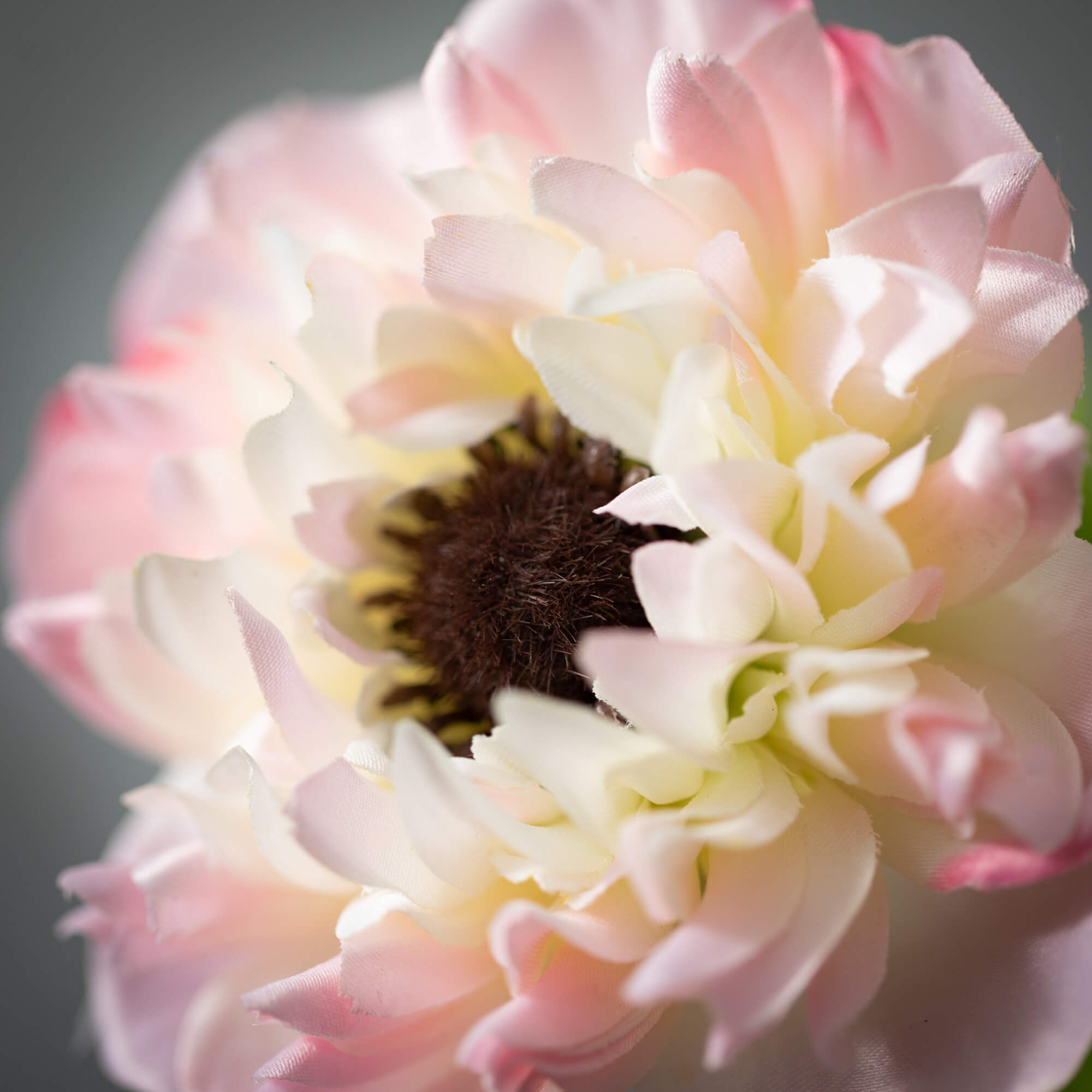 Pale Pink Anemone Spray