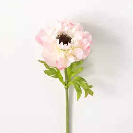 Pale Pink Anemone Spray