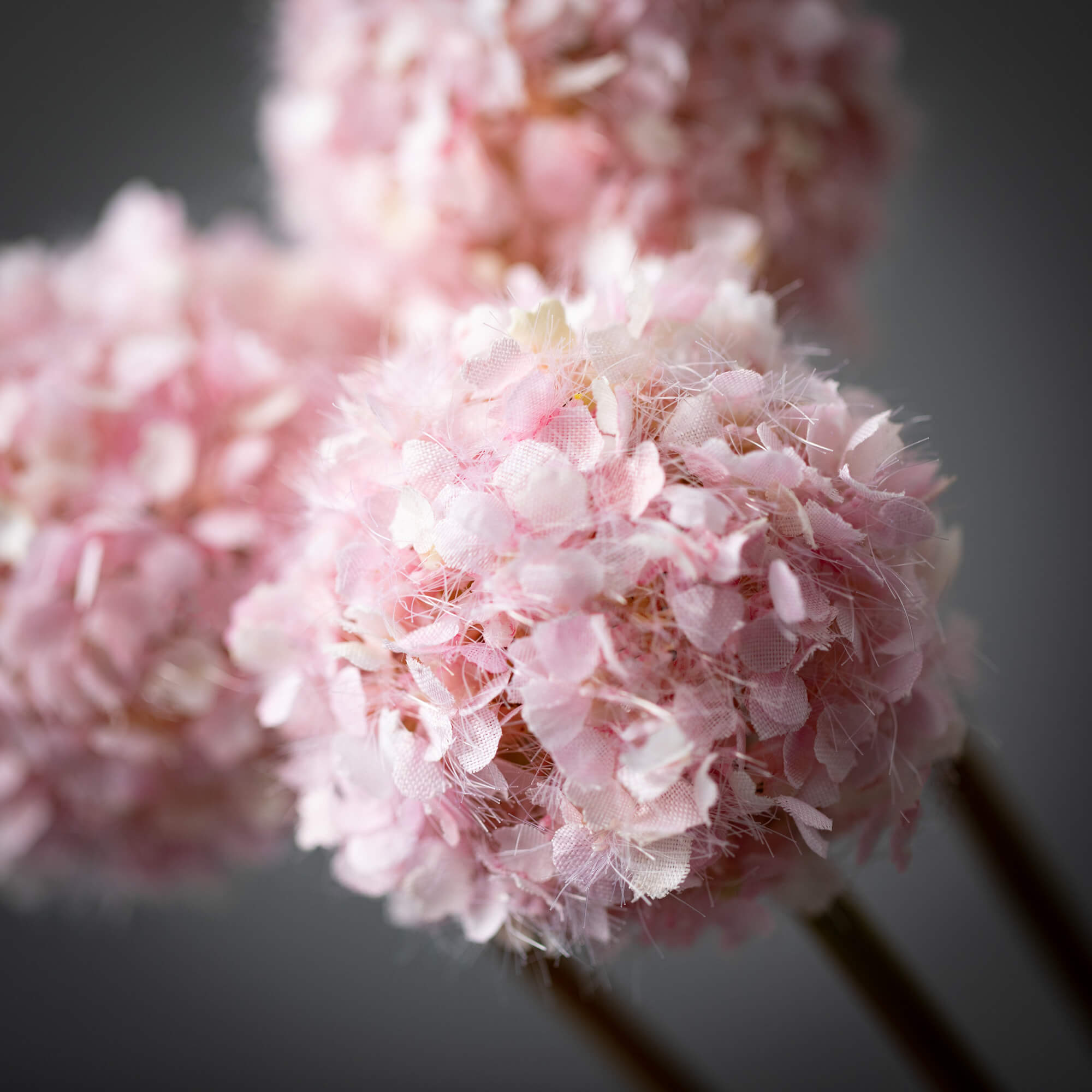 Pink Allium Spring Bunch