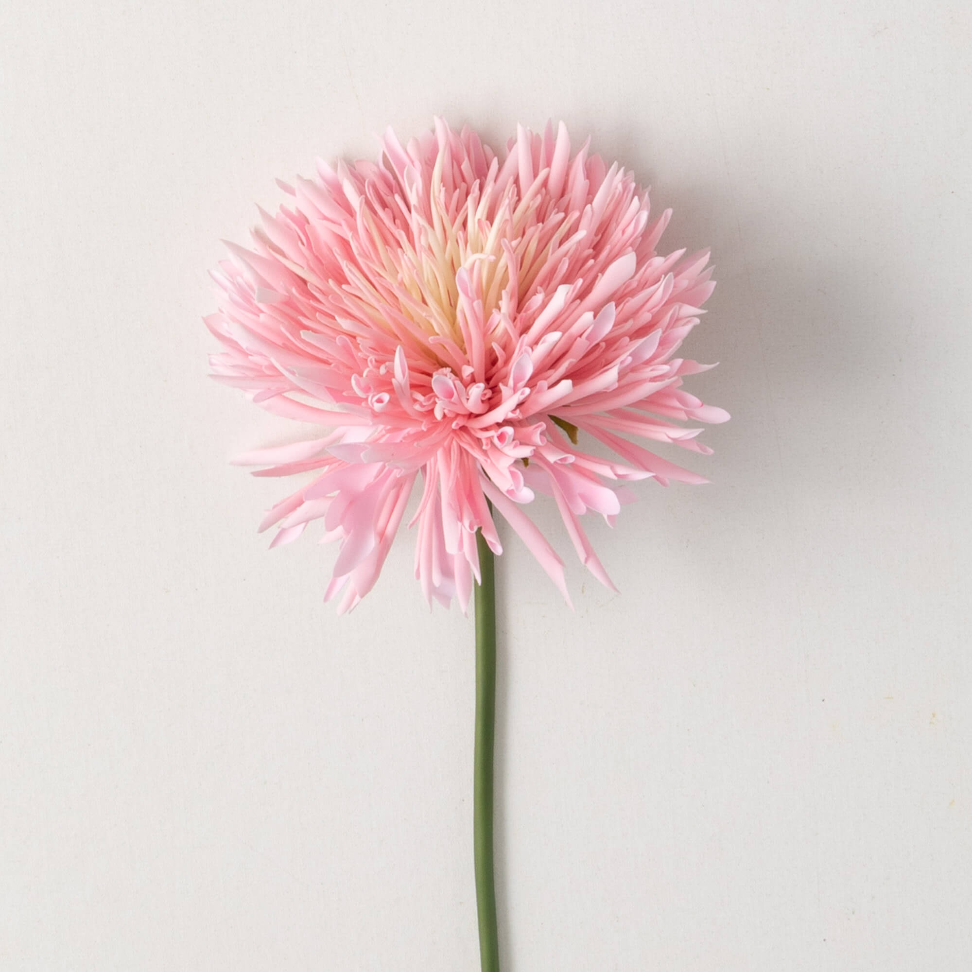 Pink Chrysanthemum Spring Spra