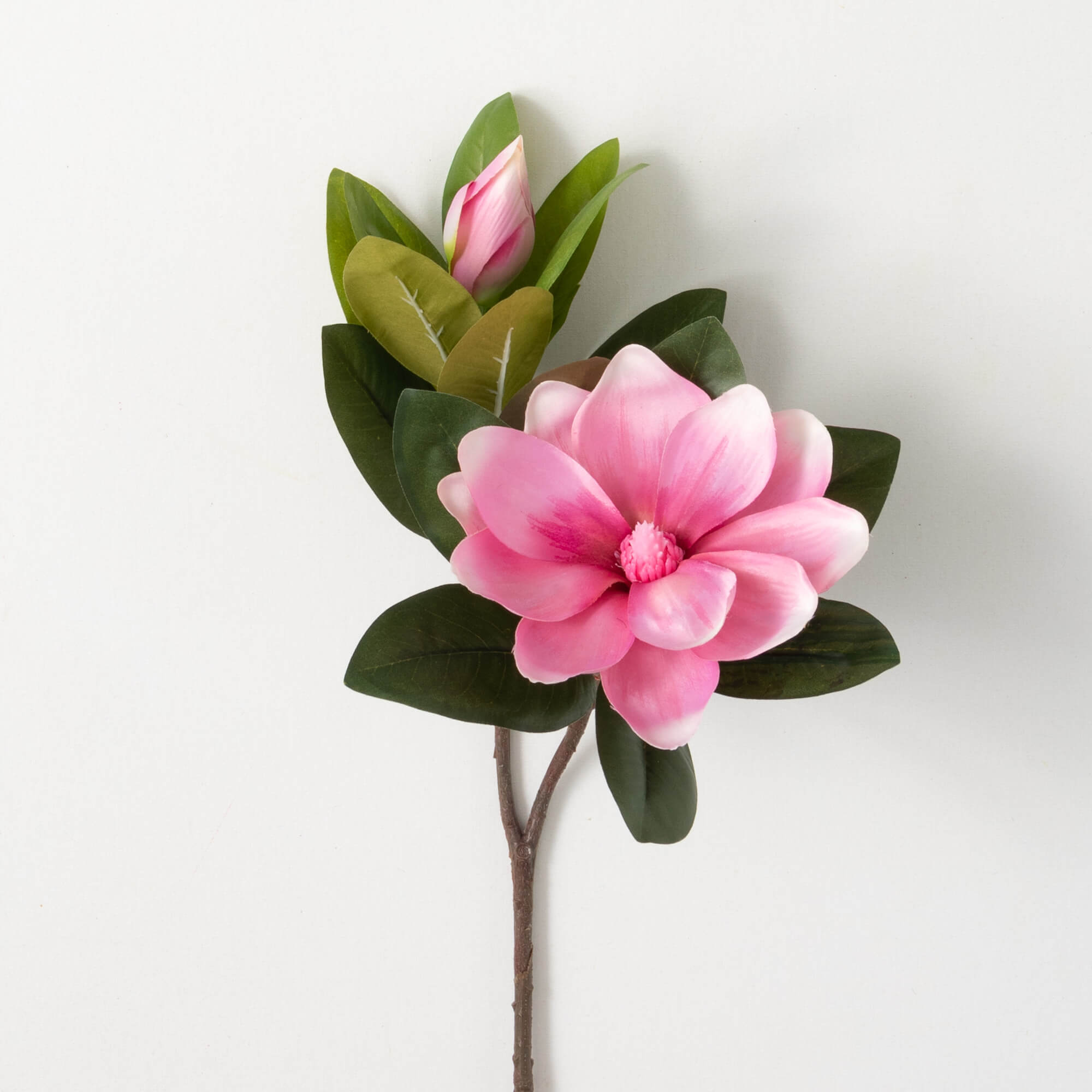 Pink Magnolia Spray With Bud