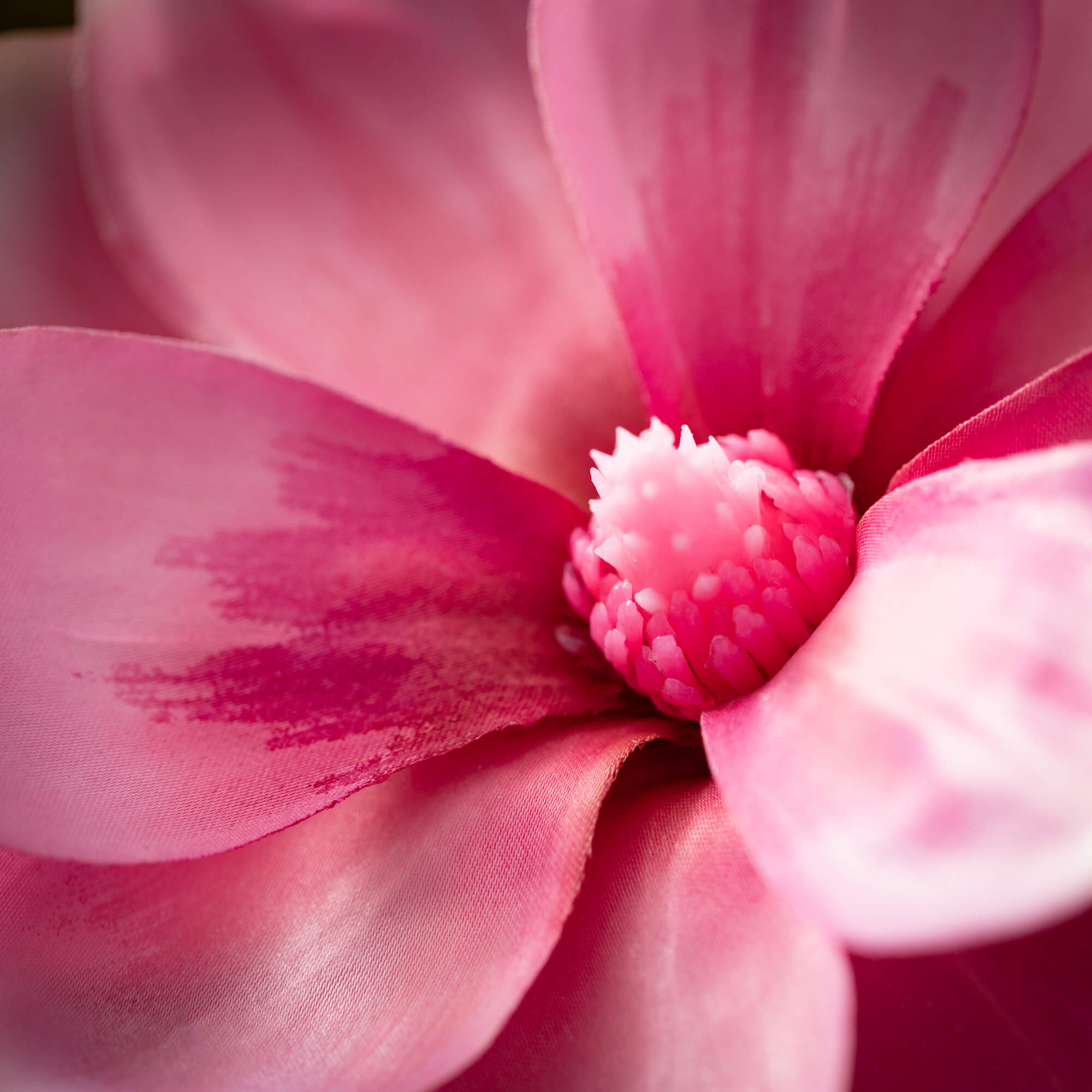 Pink Magnolia Spray With Bud