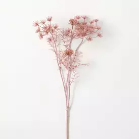 Pink Queen Anne Lace Stem