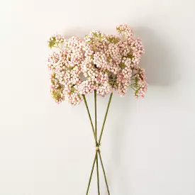 Pink Rice Flower Berry Bush