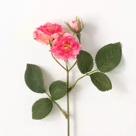 Wild Pink Rose Spray